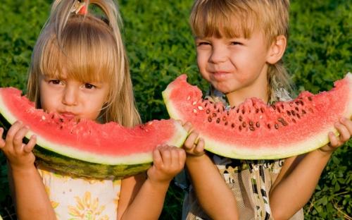 🍉Lazy Man's Watermelon Seeds - Image 12