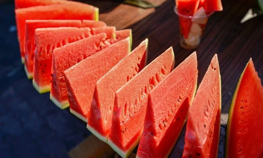 🍉Lazy Man's Watermelon Seeds - Image 13