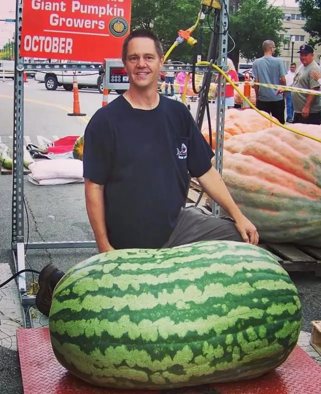 🍉Lazy Man's Watermelon Seeds - Image 5