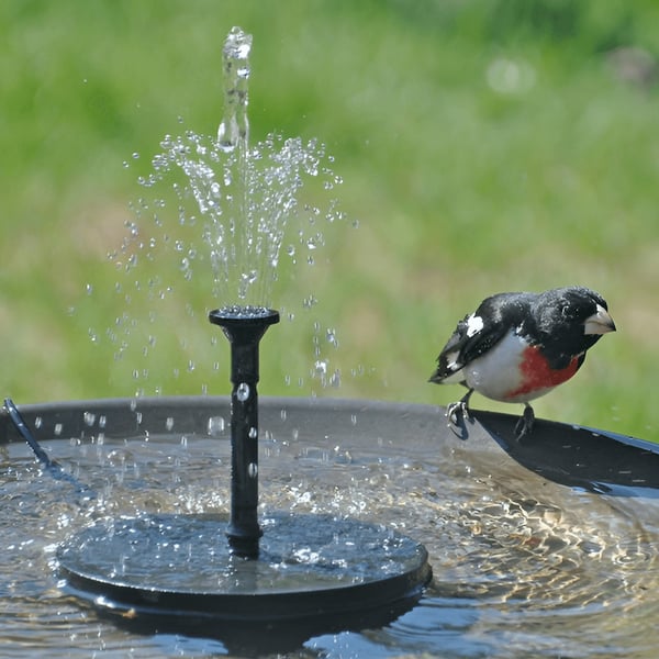 Solar-Powered Bird Fountain Kit - Image 4
