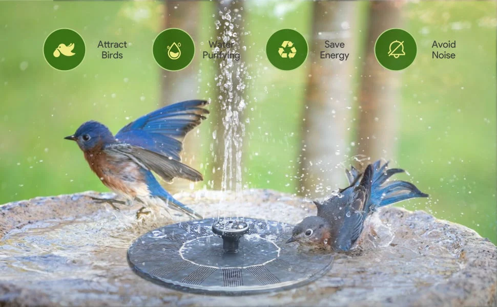 Solar-Powered Bird Fountain Kit - Image 7