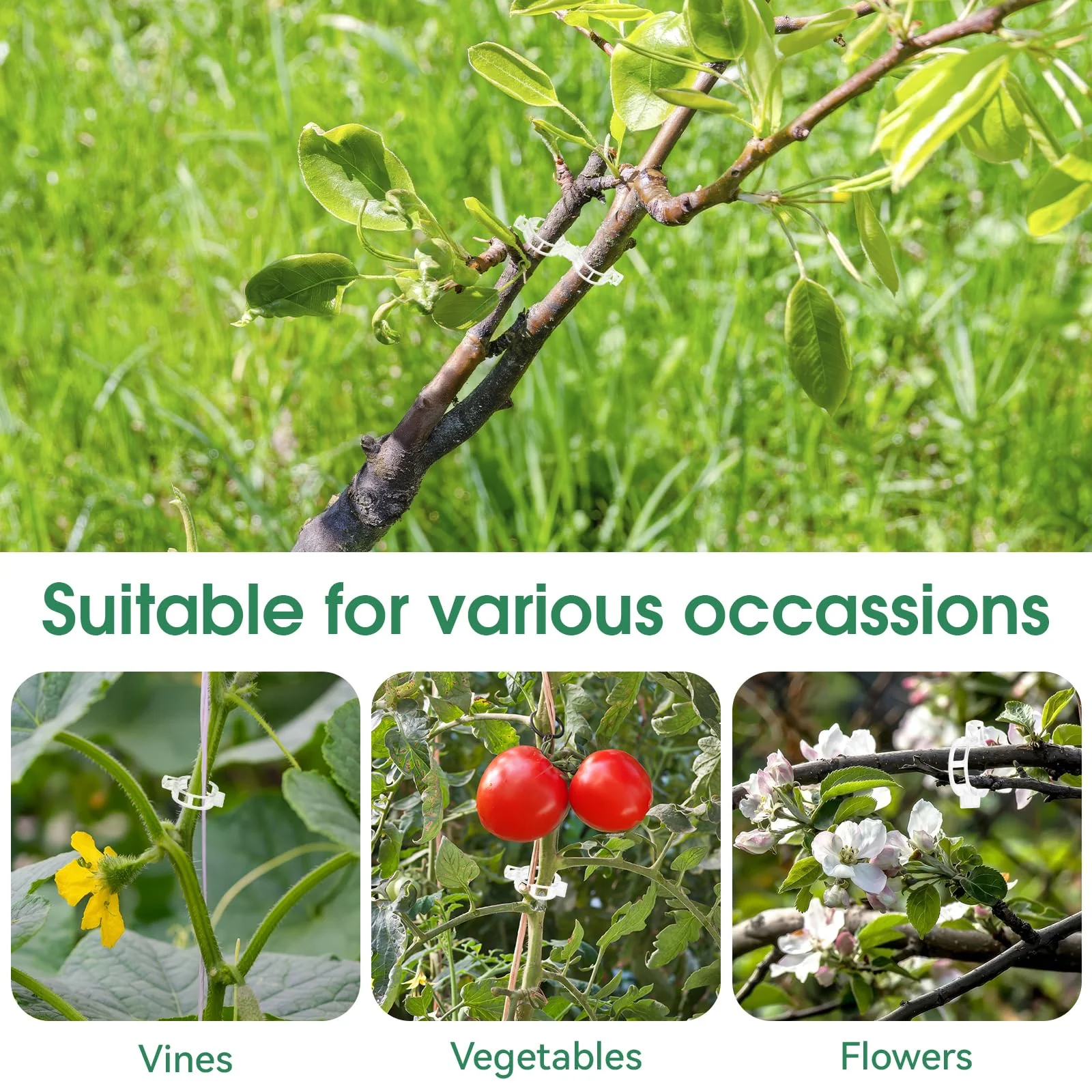Tomato Clips, Plastic Trellis Clips - Image 5