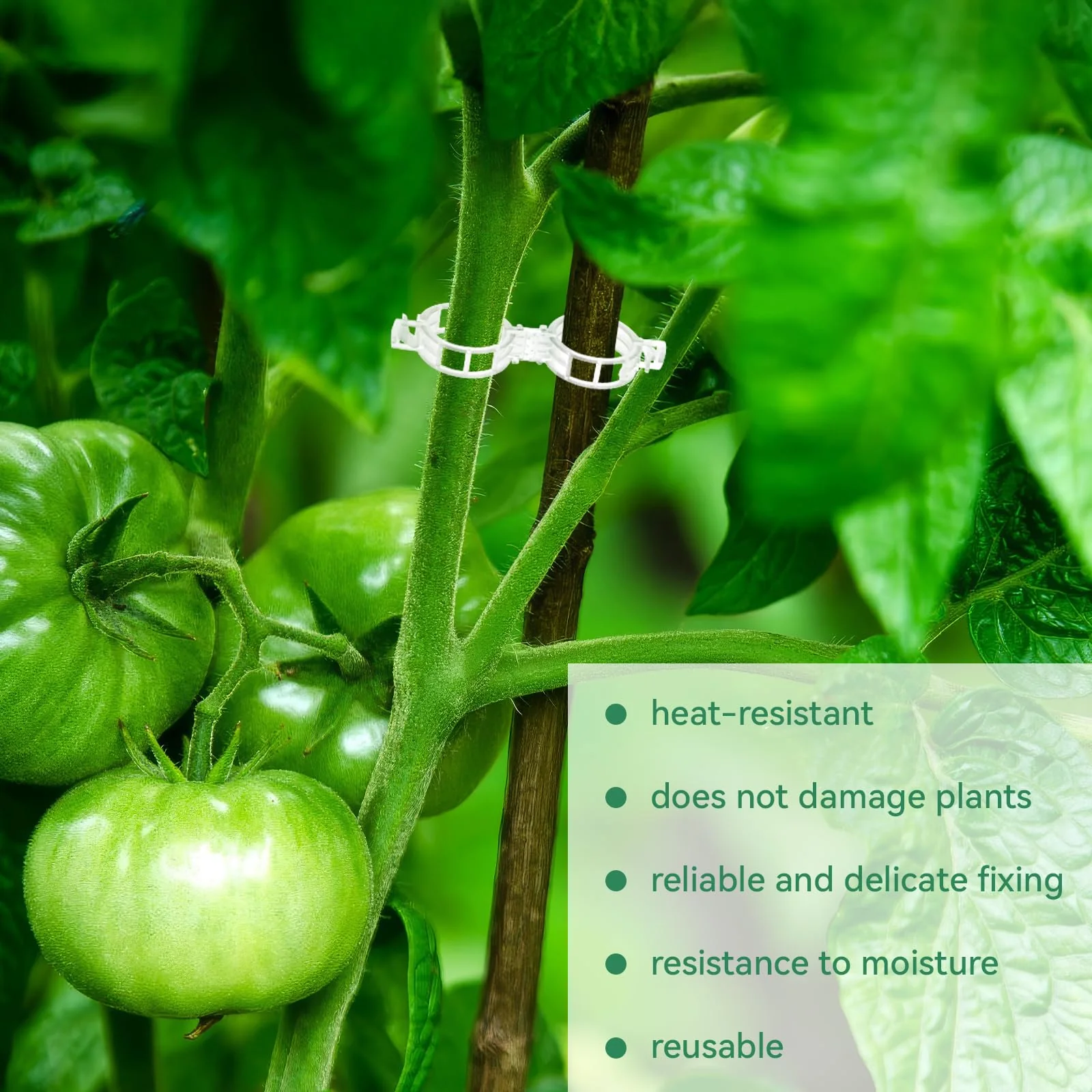 Tomato Clips, Plastic Trellis Clips - Image 7