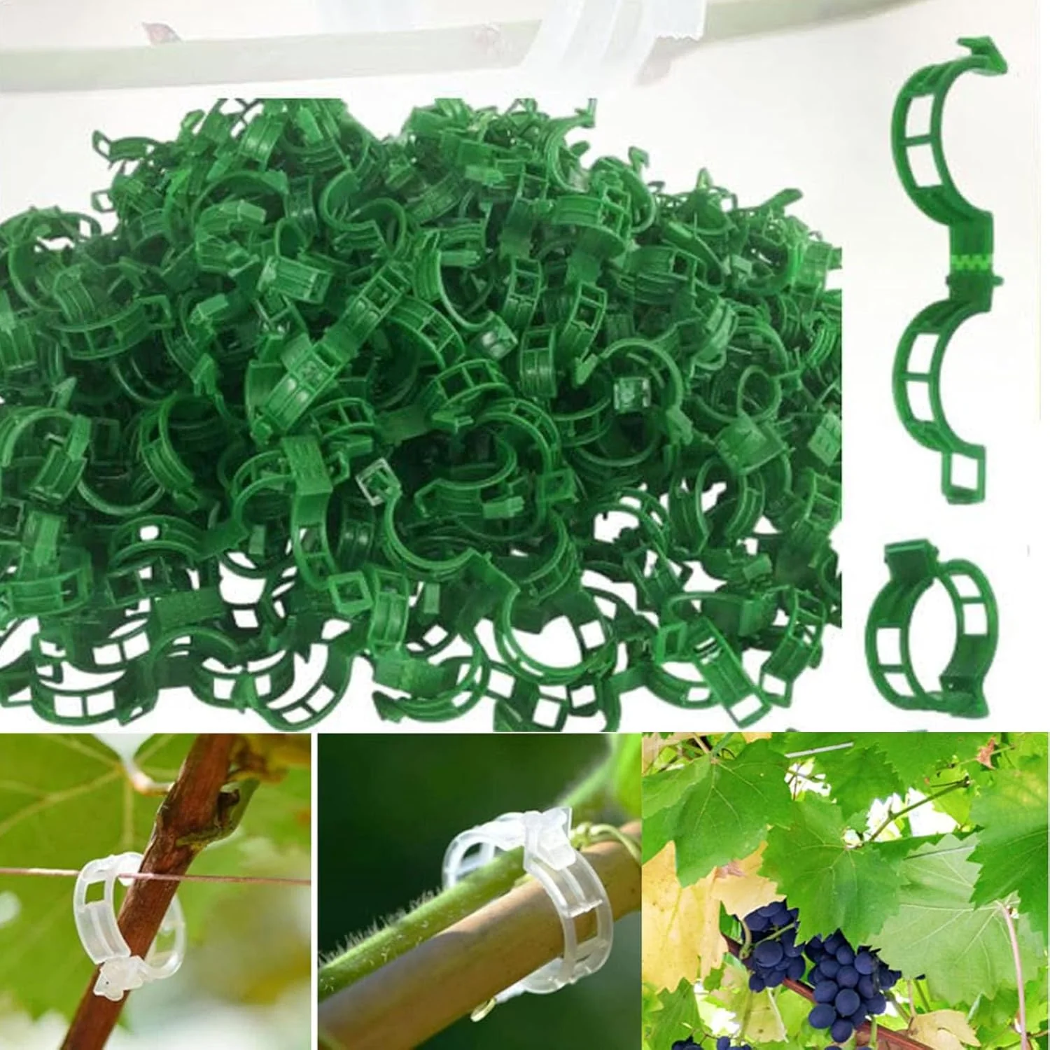 Tomato Clips, Plastic Trellis Clips - Image 9