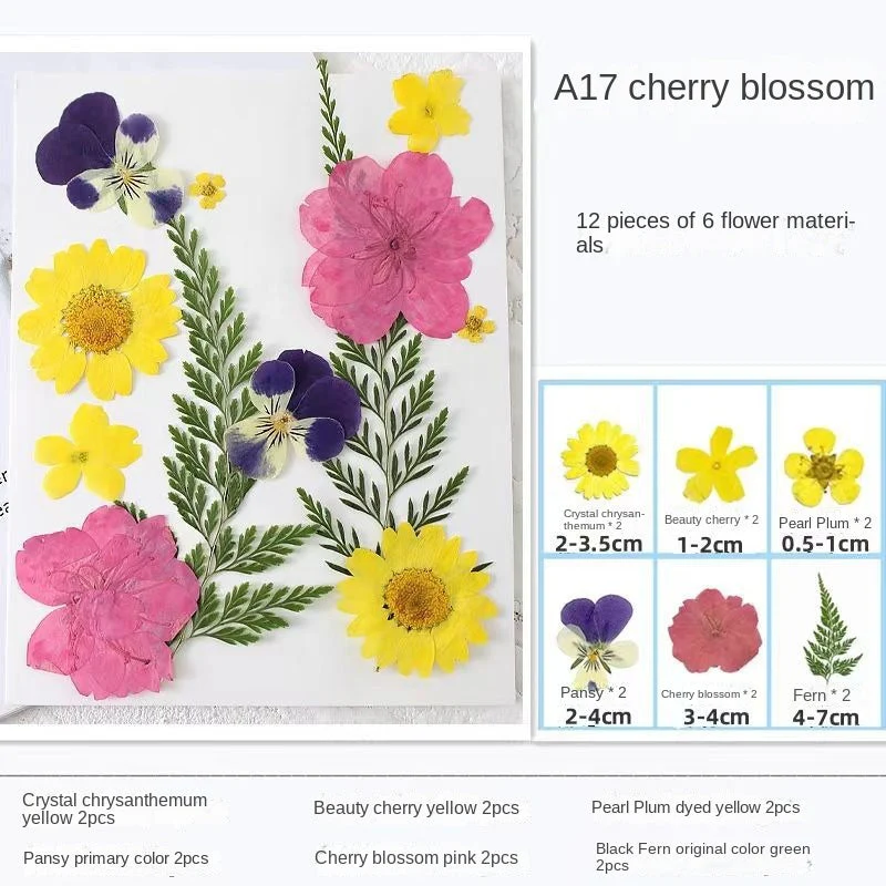 Woyuosn Transparent Dried Flower Bookmarks - Image 12