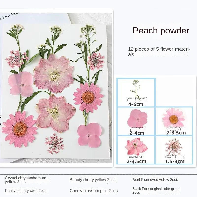 Woyuosn Transparent Dried Flower Bookmarks - Image 7