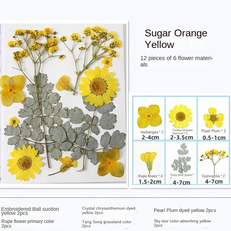 Woyuosn Transparent Dried Flower Bookmarks - Image 9